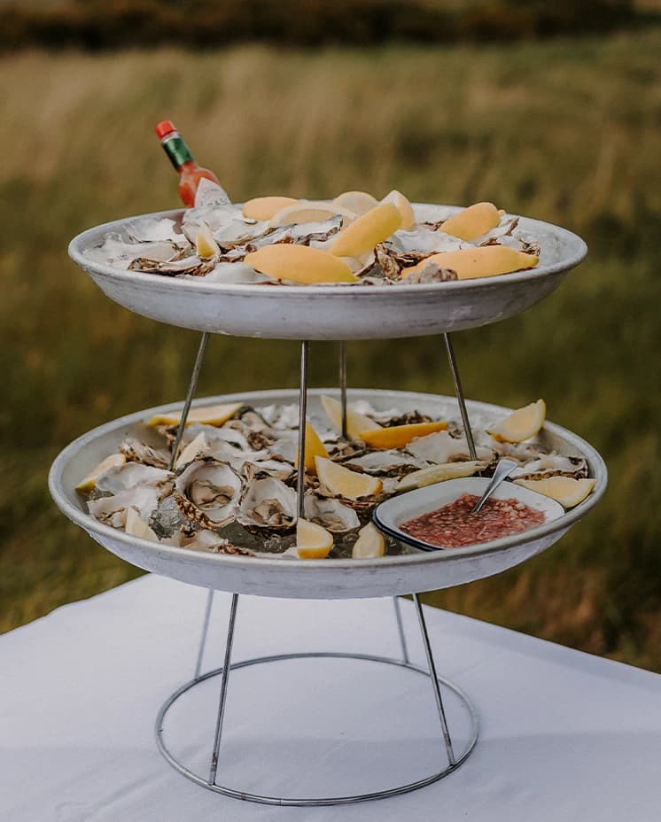 oysters delicious food delicious wedding food