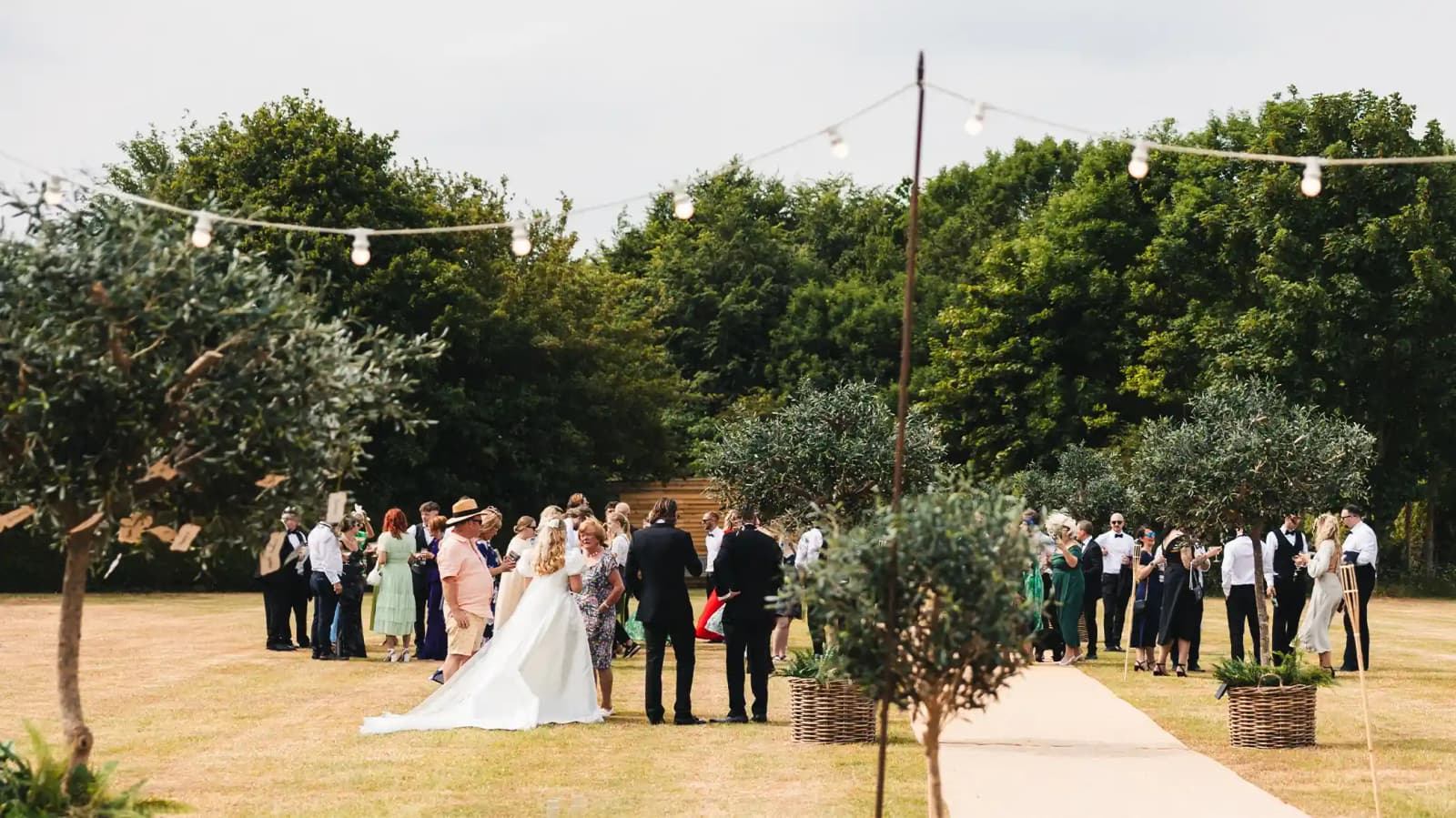 Tuscan-inspired outdoor wedding venue with olive trees and fairy lights