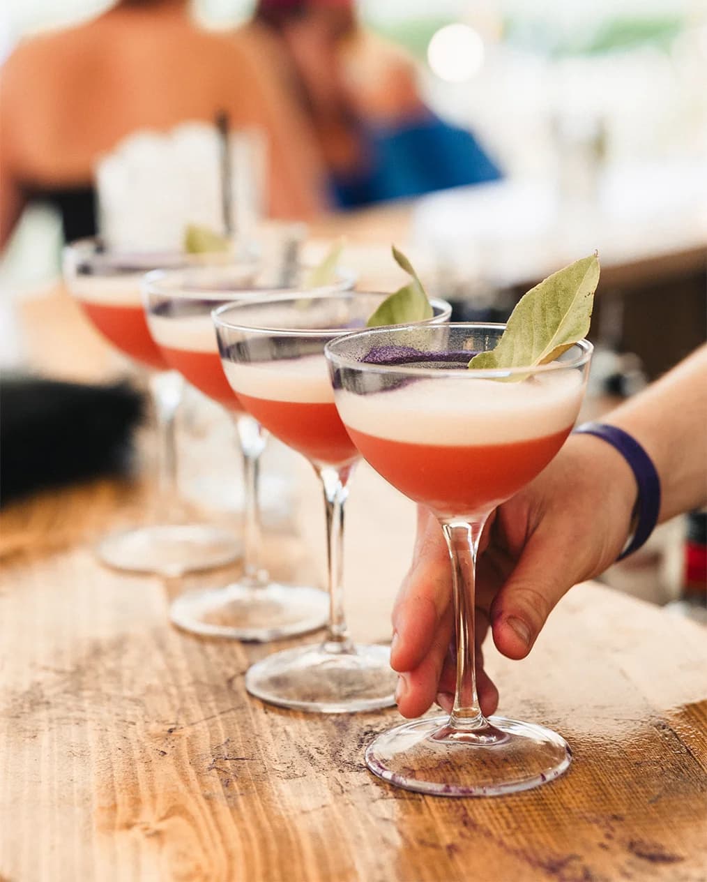 Line of pink bespoke foam cocktails garnished with bay leaves