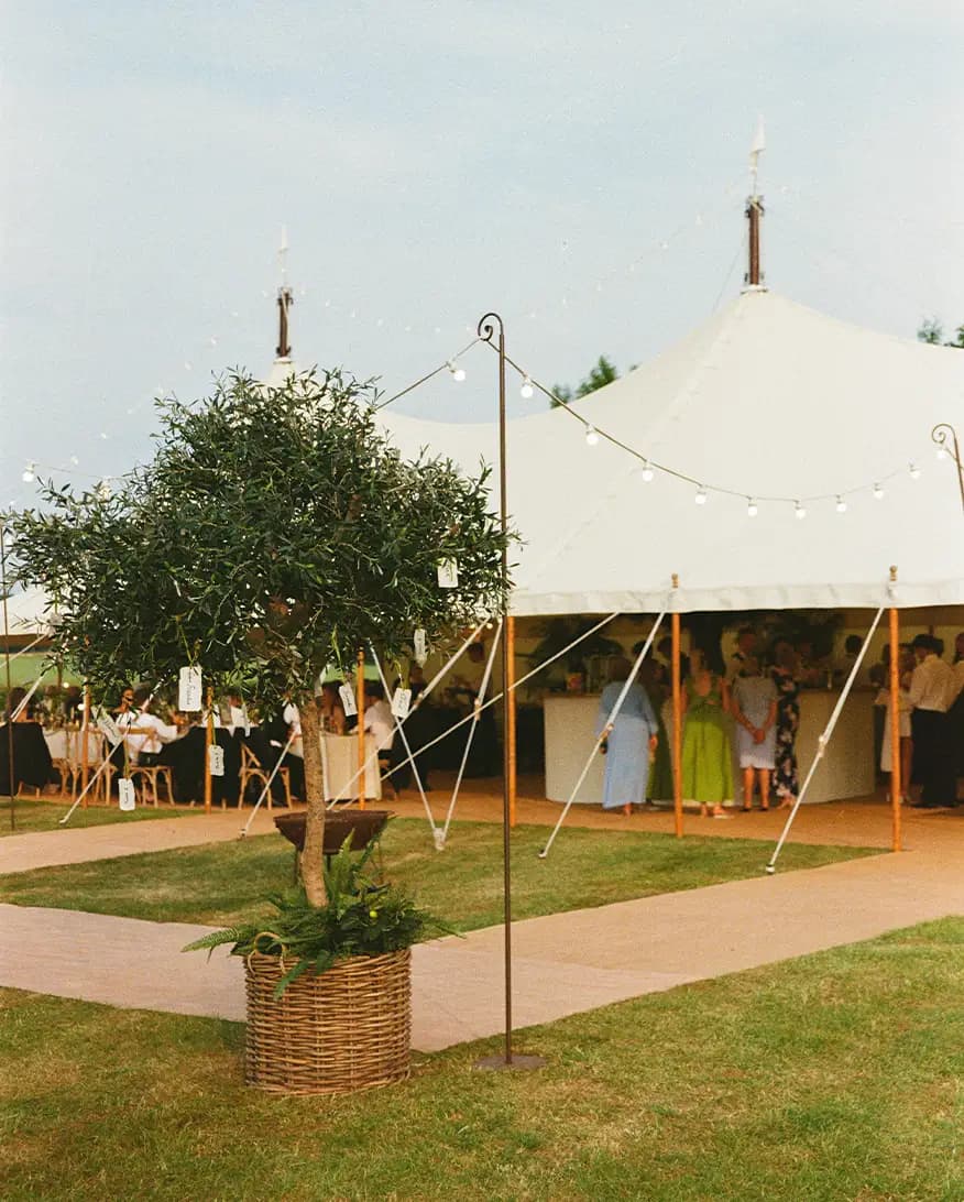 olive trees with name tags in front of wedding marquee