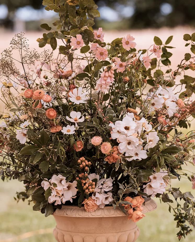 flowers-colourful-locally-sourced