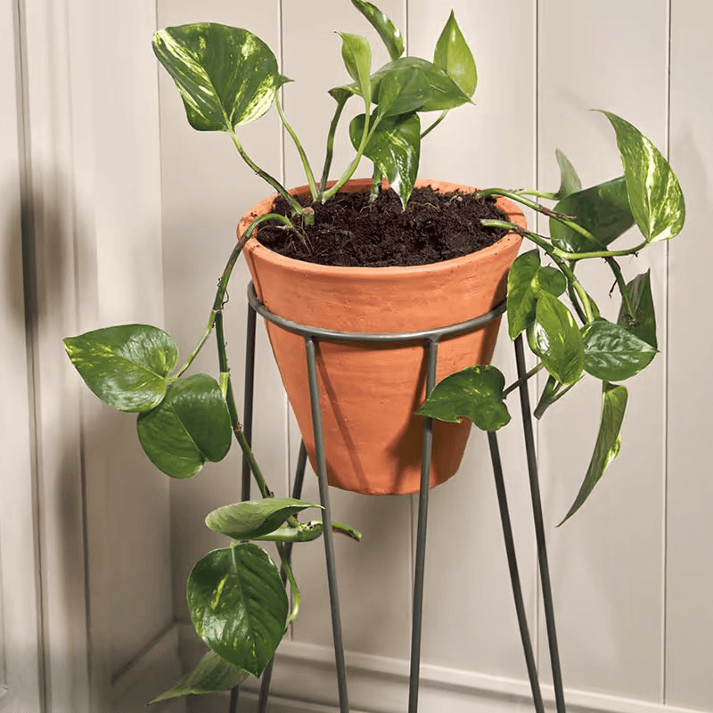 Jara Large terracotta planter with stand, D63 x 29 x 29cm, Terracotta/Black
