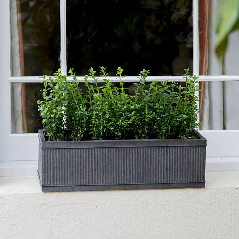 Vence Small window box, H18 x W60 x D20cm, Steel