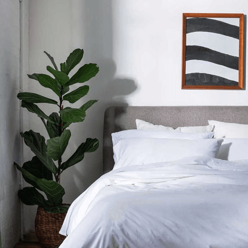 Washed Cotton Percale Double Fitted Sheet, White