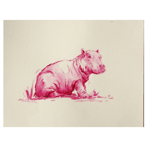 Image showing the Pink Hippo Mounted Print product.