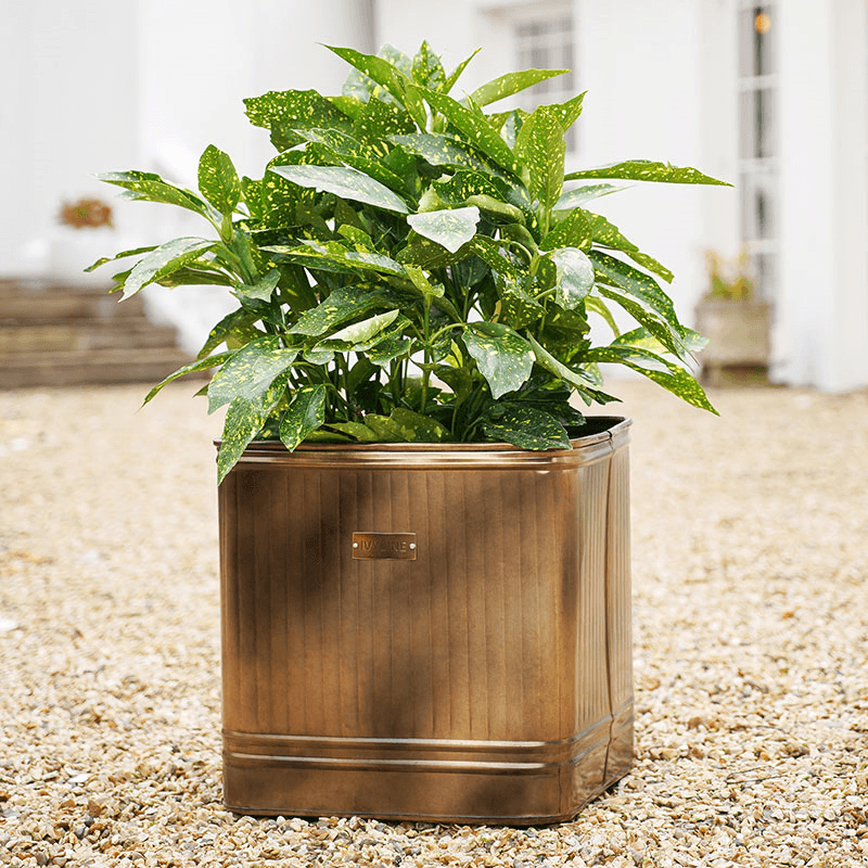 Hampton Planter, D34cm, Copper