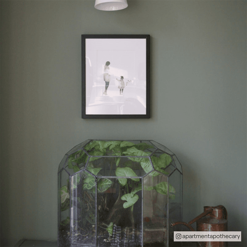 Park Life Flat Matt Wall & Ceiling Paint, 2.5L, Green