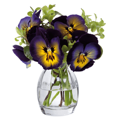 Image showing the Florabundance Pansy vase, H9.5cm, Clear product.