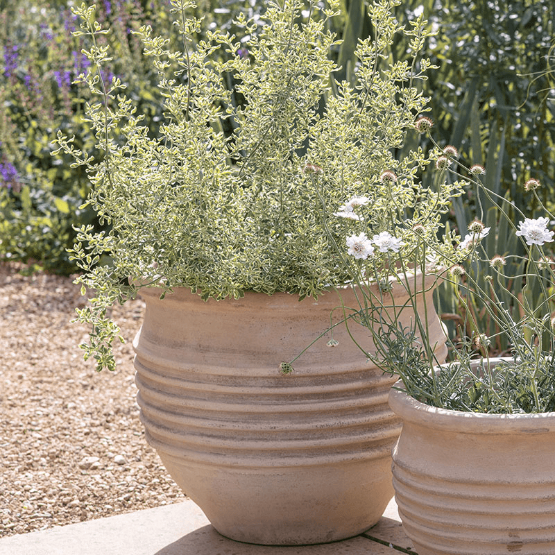 Ullu Planter, H36cm, Terracotta