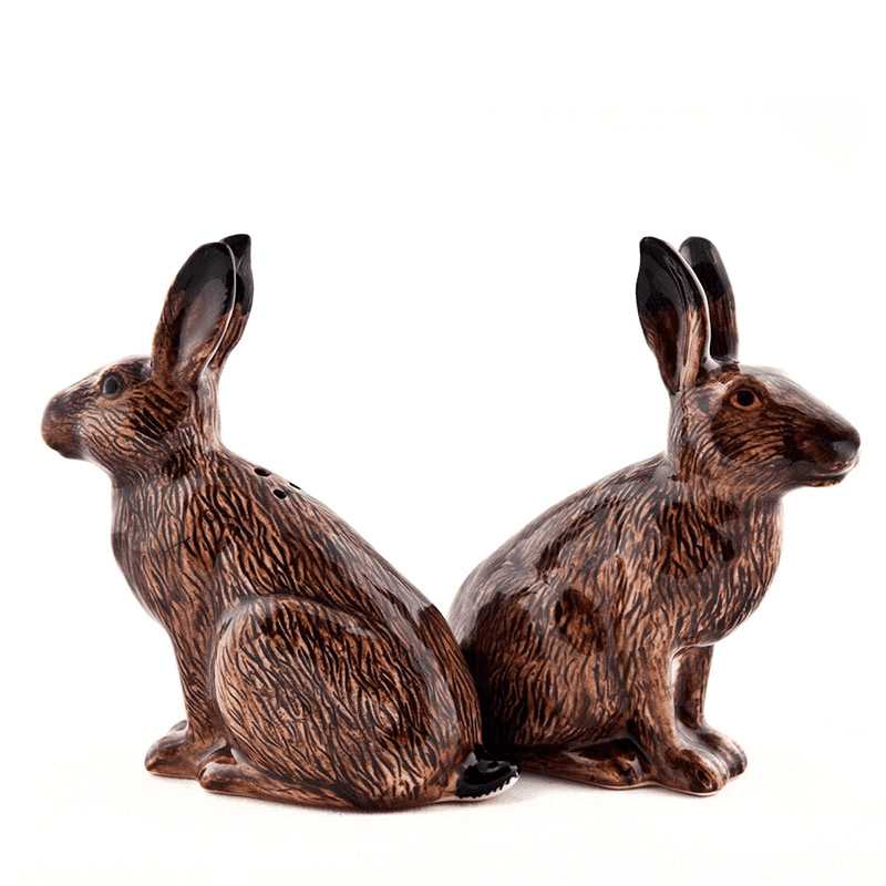 Hare Salt & Pepper Shakers, H10cm, Brown