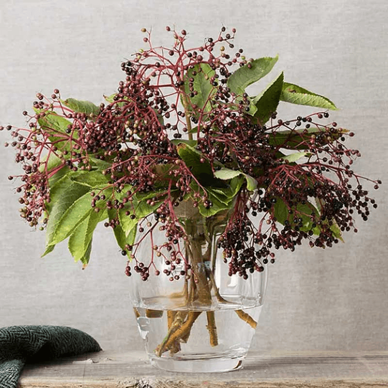 Florabundance Tulip vase, H18.5cm, Clear