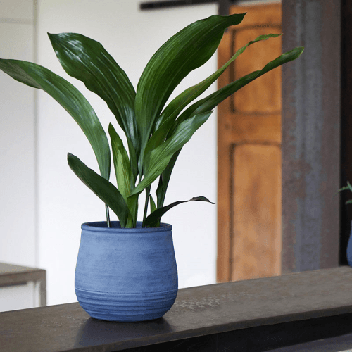 Image showing the Handthrown Planter, D25cm, Azurite product.