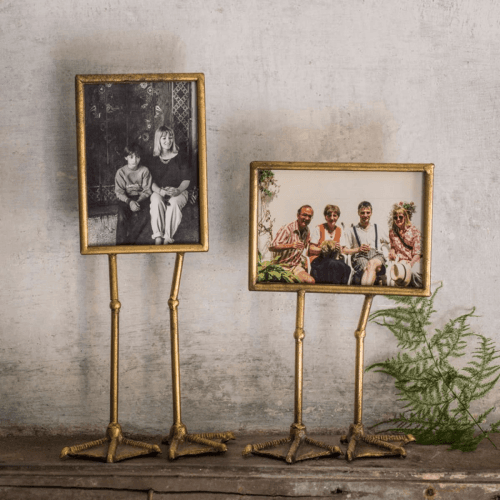 Image showing the Duck Feet Portrait Frame product.