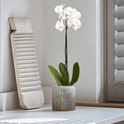 Image showing the Verre Planter, D21cm, Gold product.