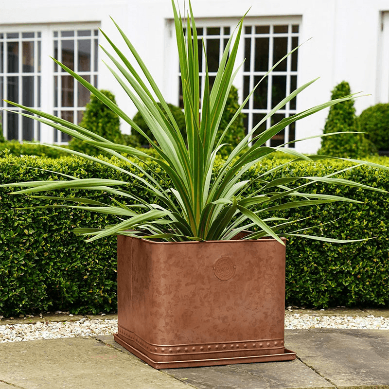 Kew Temperate House Regency Outdoor Planter, D38cm, Copper