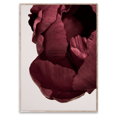 Image showing the Peonia 02 FSC Print, 50 x 70cm product.