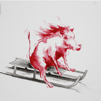Image showing the Full Speed Warthog Framed Print product.