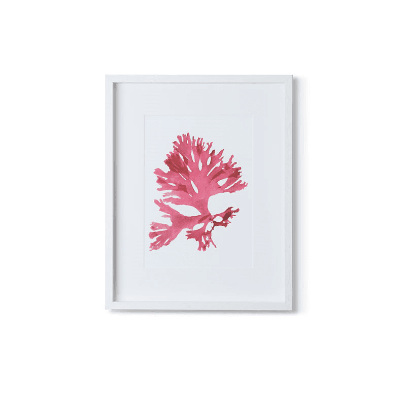 Coastal Beautiful Fanweed Wall Art, Red