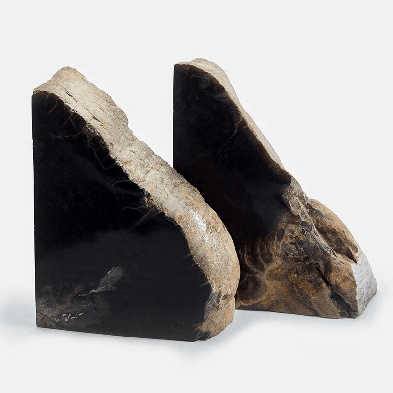 Balfern Petrified Wood Bookends, H15 x W22cm, Black