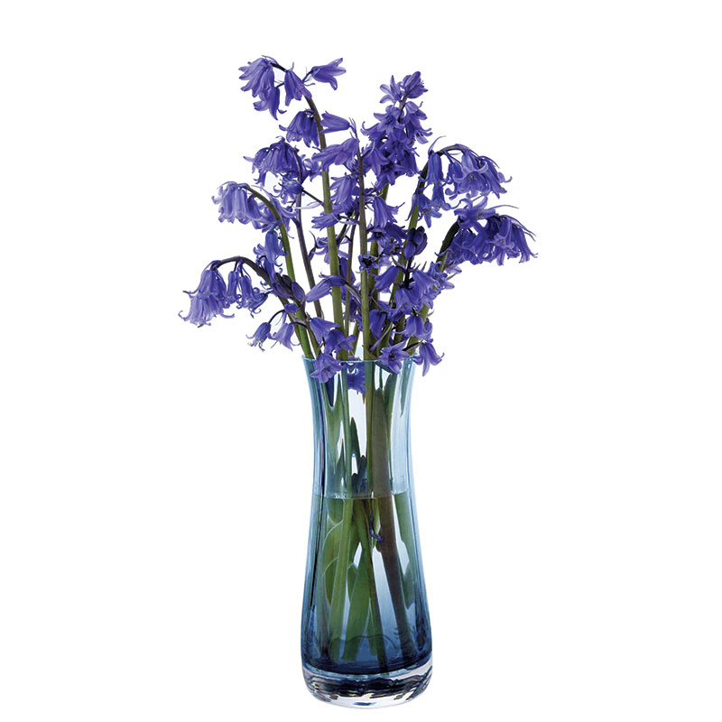 Florabundance Bluebell Vase, H18.5cm, Ink