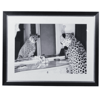 Image showing the Picture, Double Take, Cheetah, 102cmx 132cm product.