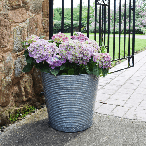 Image showing the Galvanised Ribbed Planter, D37cm, Silver product.