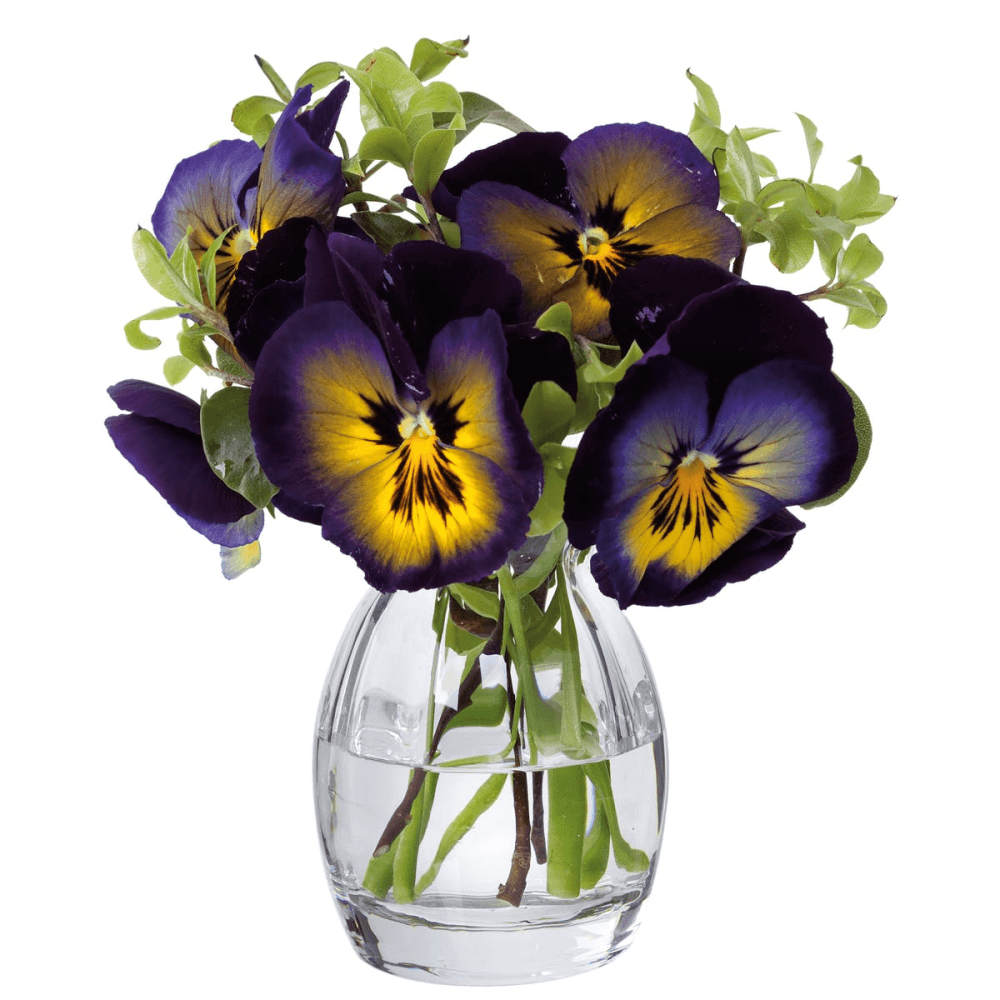 Florabundance Pansy vase, H9.5cm, Clear