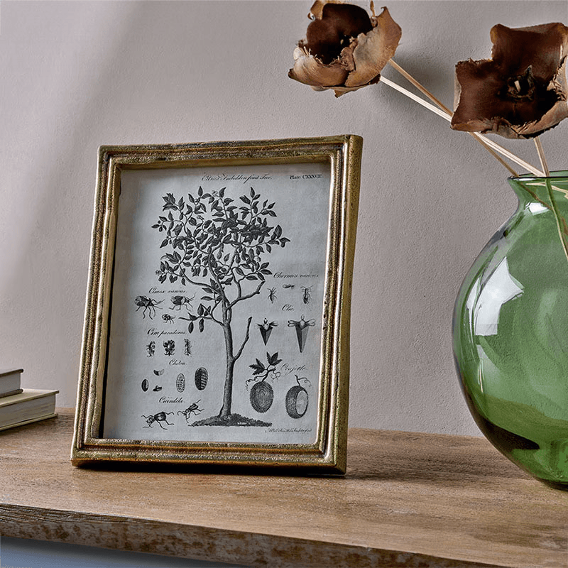 Pambani Photo Frame, 8 x 10", Antique Brass