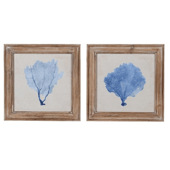 Image showing the Blue Coral Pictures, Set of 2 product.