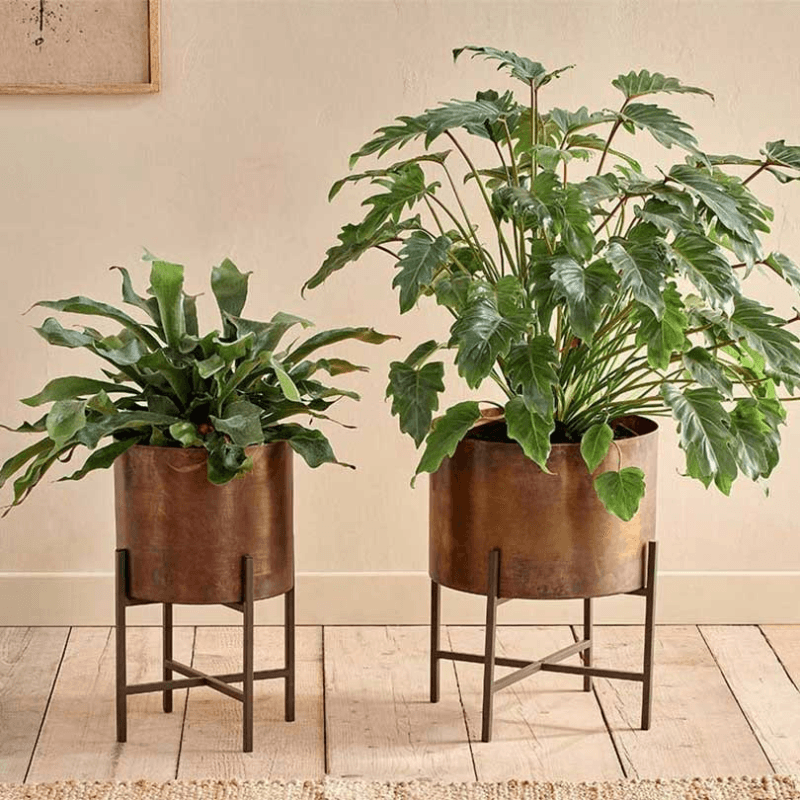 Juoni Iron Planter, H35 x W30 x D30cm, Aged Antique Brass