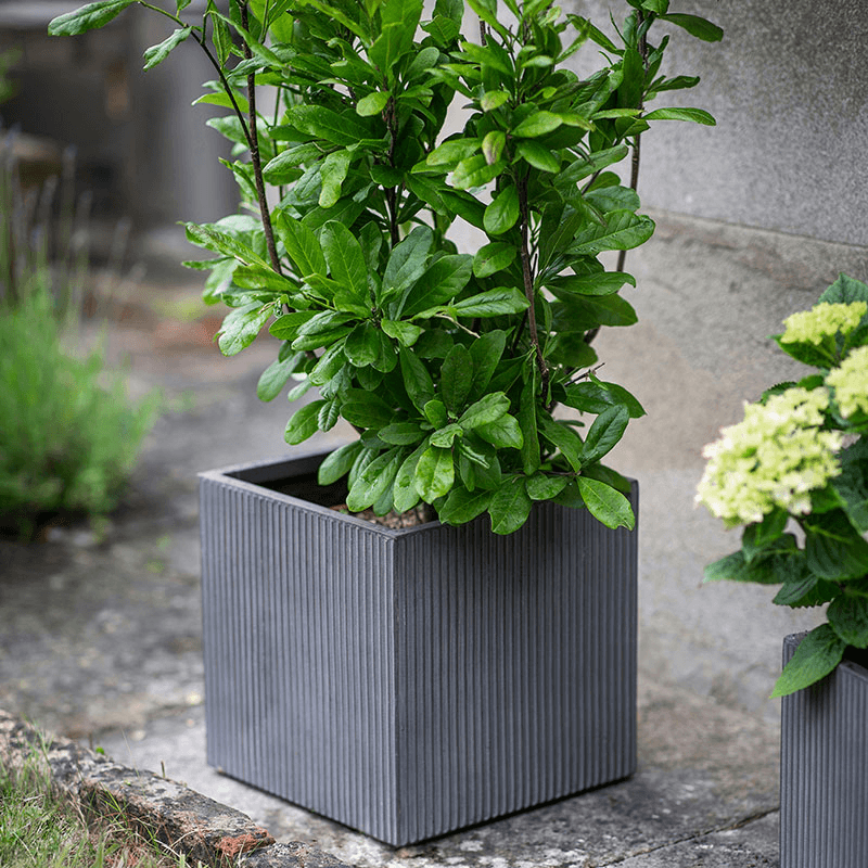 Siddington Set of 3 Square Planters, Grey
