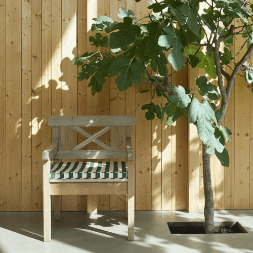 Image showing the Drachmann Chair Cushion, L65 x W51cm, Light Apricot/Dark Green product.