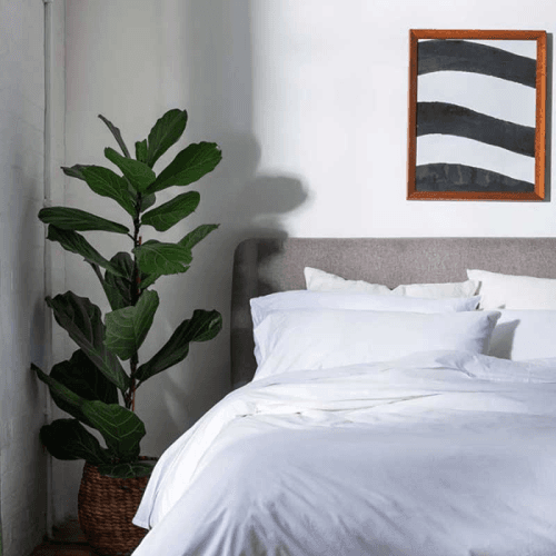 Image showing the Washed Cotton Percale Double Fitted Sheet, White product.