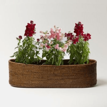Image showing the Oval Planter, Kethi, Rattan, 54cm product.
