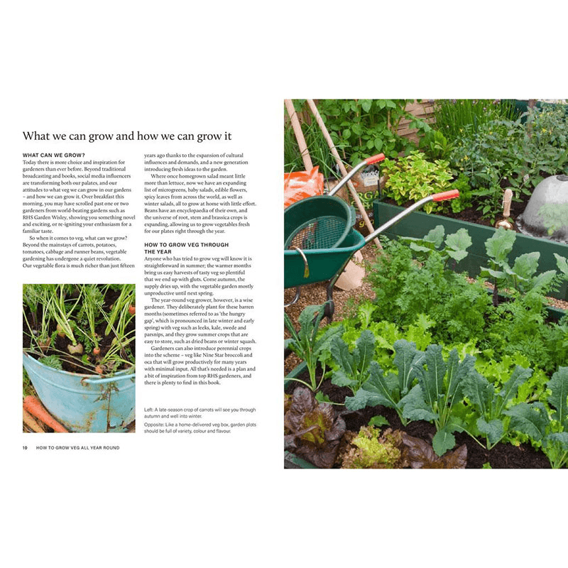 Grow Your Own Veg Through The Year