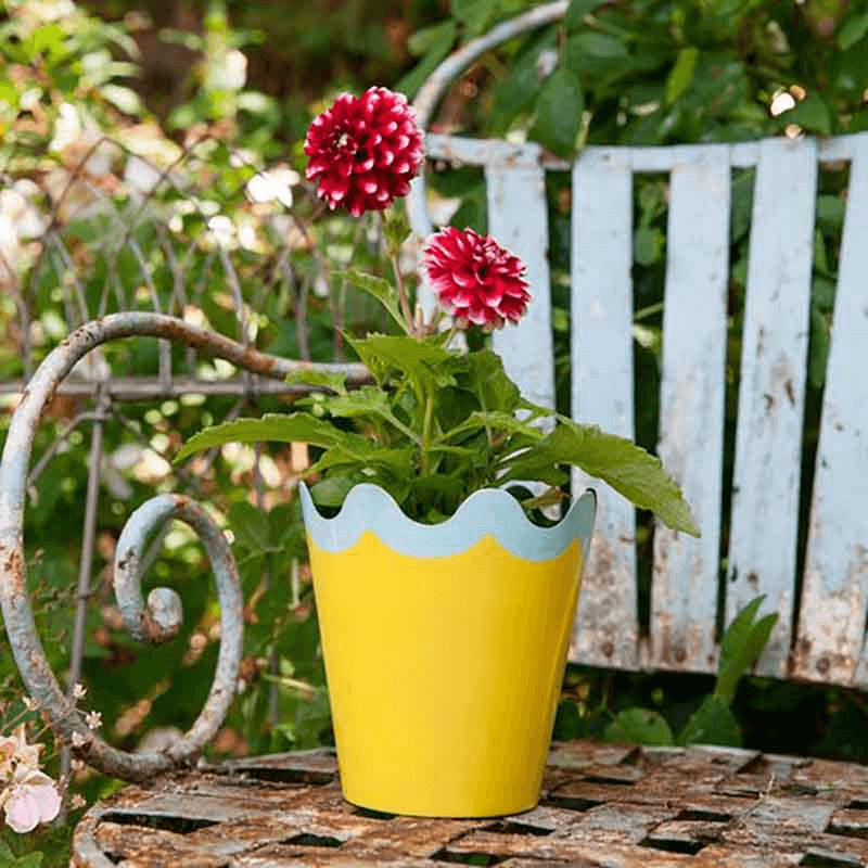 Scallop Tole Small Planter, H15cm, Yellow