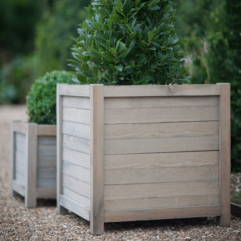 Square Planter, 40cm, Spruce