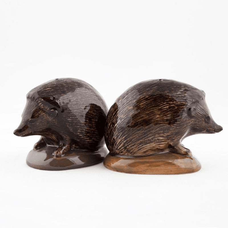 Hedgehog Salt & Pepper Shakers, H5.5cm, Brown