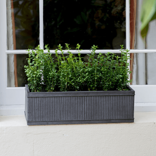 Image showing the Vence Small window box, H18 x W60 x D20cm, Steel product.