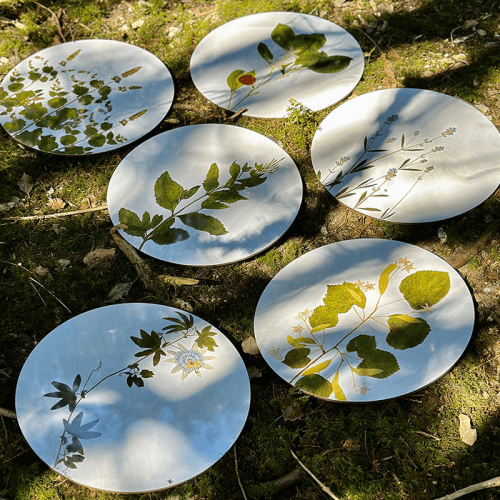 Image showing the Herbarium Set of 4 Round Placemats, D34cm, Green product.