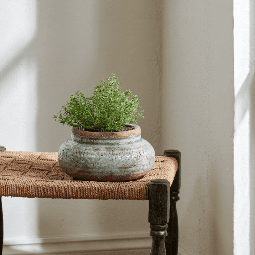 Image showing the Broseley Pot, H10 x D22cm, Moss product.