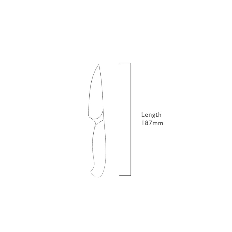 Professional Vegetable Knife, L9cm, Stainless Steel