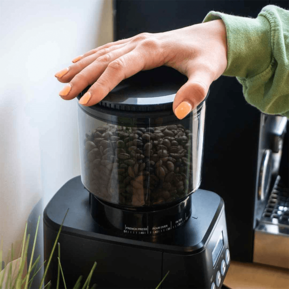 Barista Core Electric Coffee Grinder, Black