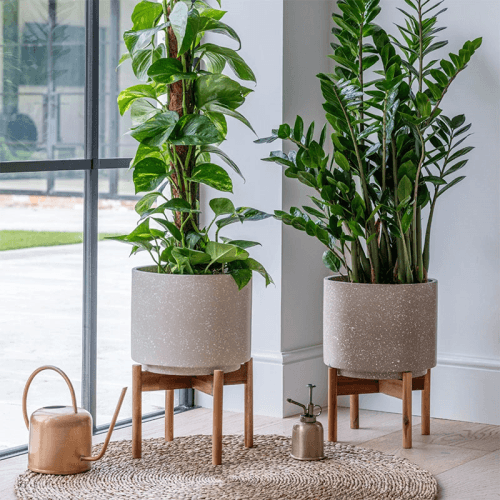 Image showing the Valetta Speckled Planter with Stand, H37cm, Ivory product.