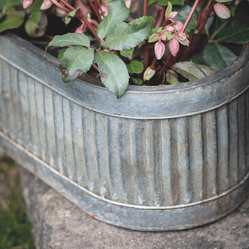 Vence Set of 3 Oval Troughs, Steel