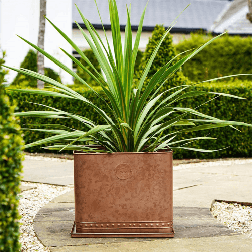 Image showing the Kew Temperate House Regency Outdoor Planter, D38cm, Copper product.