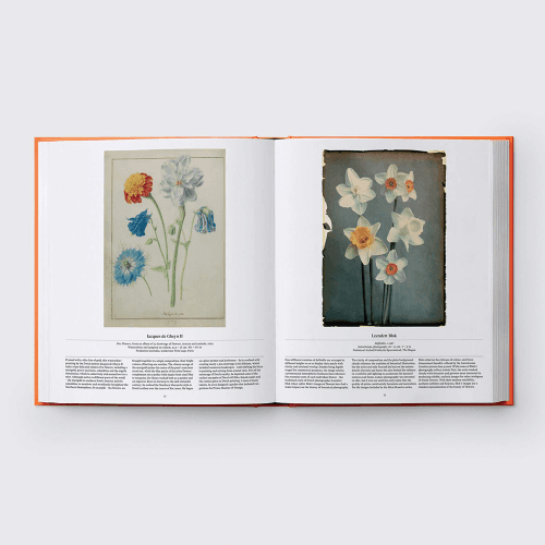Image showing the Flower: Exploring the World in Bloom product.