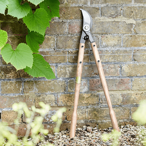 Image showing the Lopper, Stainless Steel product.