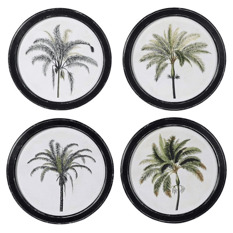 Palm Set of 4 Framed Prints, D35cm