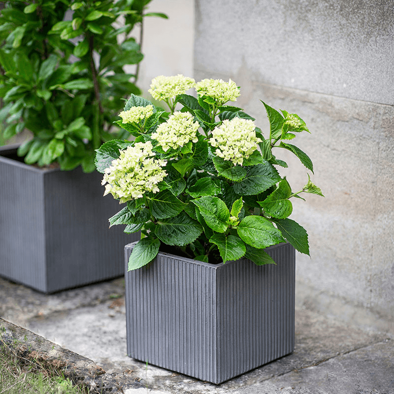 Siddington Set of 3 Square Planters, Grey